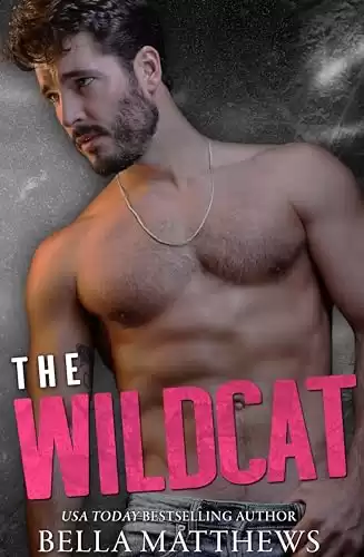 The Wildcat (Playing To Win Book 2)